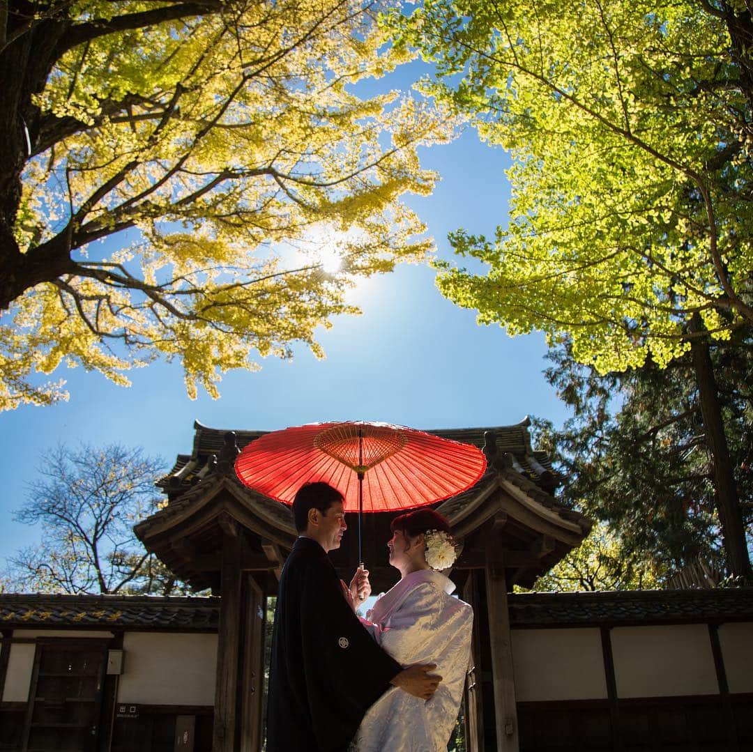 The Sally Garden（ザ サリィガーデン）のグルメインスタ