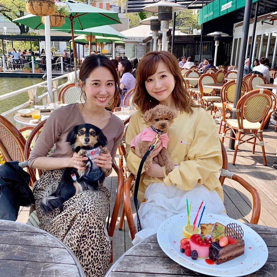 水野佐彩さんのインスタグラム写真 - (水野佐彩Instagram)「・ 丸ちゃんとランチ🍽🌸 お互いワンコを飼い始めたのが同じくらいで instagramではよく交流していたけど こうして遊ぶのは初めて☺️💕 ララちゃんがお利口さんすぎて とっても優しくおもちに接してくれたから 珍しくおもちも怖がることもなく 挨拶して穏便に過ごしてた🥺✨ なんて平和なランチタイムだったんだろう🥺 楽しかったなあ。 そしてお祝いまでしてくれて 本当に嬉しかったあ🥺🎂 丸ちゃん親子の可愛さに おもちと私は心底癒されました😳❤️ 丸ちゃんありがとう☺️💕💕 #canalcafe  #カナルカフェ #犬連れランチ #飯田橋 #神楽坂 #ランチ #犬バカ部 #ダブルデート ・ ・ あ。 ぼくは首をボリボリしてくれると 気持ちよくてにっこりになります🐶w (5-6枚目参照🌸)」4月18日 21時12分 - saaya_mizuno