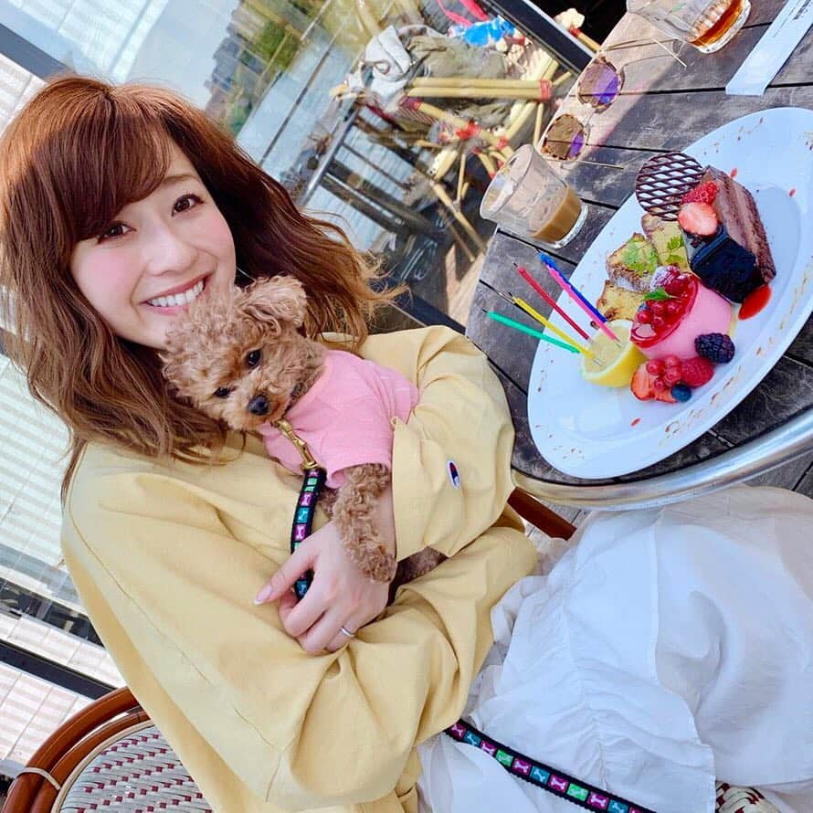 水野佐彩さんのインスタグラム写真 - (水野佐彩Instagram)「・ 丸ちゃんとランチ🍽🌸 お互いワンコを飼い始めたのが同じくらいで instagramではよく交流していたけど こうして遊ぶのは初めて☺️💕 ララちゃんがお利口さんすぎて とっても優しくおもちに接してくれたから 珍しくおもちも怖がることもなく 挨拶して穏便に過ごしてた🥺✨ なんて平和なランチタイムだったんだろう🥺 楽しかったなあ。 そしてお祝いまでしてくれて 本当に嬉しかったあ🥺🎂 丸ちゃん親子の可愛さに おもちと私は心底癒されました😳❤️ 丸ちゃんありがとう☺️💕💕 #canalcafe  #カナルカフェ #犬連れランチ #飯田橋 #神楽坂 #ランチ #犬バカ部 #ダブルデート ・ ・ あ。 ぼくは首をボリボリしてくれると 気持ちよくてにっこりになります🐶w (5-6枚目参照🌸)」4月18日 21時12分 - saaya_mizuno