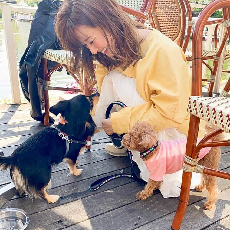 水野佐彩さんのインスタグラム写真 - (水野佐彩Instagram)「・ 丸ちゃんとランチ🍽🌸 お互いワンコを飼い始めたのが同じくらいで instagramではよく交流していたけど こうして遊ぶのは初めて☺️💕 ララちゃんがお利口さんすぎて とっても優しくおもちに接してくれたから 珍しくおもちも怖がることもなく 挨拶して穏便に過ごしてた🥺✨ なんて平和なランチタイムだったんだろう🥺 楽しかったなあ。 そしてお祝いまでしてくれて 本当に嬉しかったあ🥺🎂 丸ちゃん親子の可愛さに おもちと私は心底癒されました😳❤️ 丸ちゃんありがとう☺️💕💕 #canalcafe  #カナルカフェ #犬連れランチ #飯田橋 #神楽坂 #ランチ #犬バカ部 #ダブルデート ・ ・ あ。 ぼくは首をボリボリしてくれると 気持ちよくてにっこりになります🐶w (5-6枚目参照🌸)」4月18日 21時12分 - saaya_mizuno