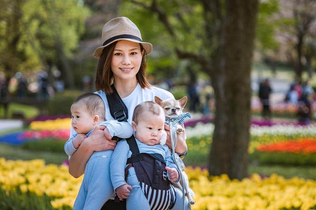 maika_kikitoyjijiさんのインスタグラム写真 - (maika_kikitoyjijiInstagram)「. 2019.4.15 . 三つ子と オカンさん👶👶👶 素敵に撮ってもらったよ♡ . Photo by @pom.potechin . . #犬と子供 #子供と犬 #instakids #chihuahua #dog #チワワ #犬 #치와와 #犬バカ部 #いぬすたぐらむ #犬と赤ちゃん #赤ちゃんと犬 #子育て #双子 #ママスタグラム #twins #triplets #国営昭和記念公園 #昭和記念公園 #チューリップ #花まっぷ」4月18日 21時05分 - maika_kikitoyjiji