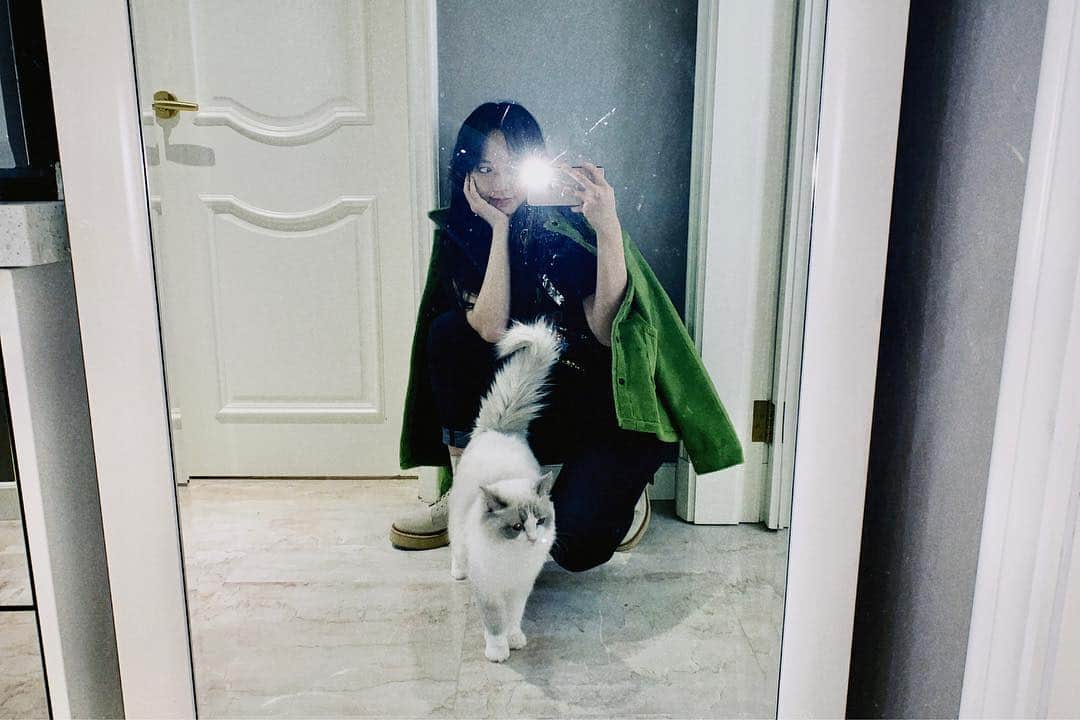 ソンソのインスタグラム：「my 🐱 ❤️」