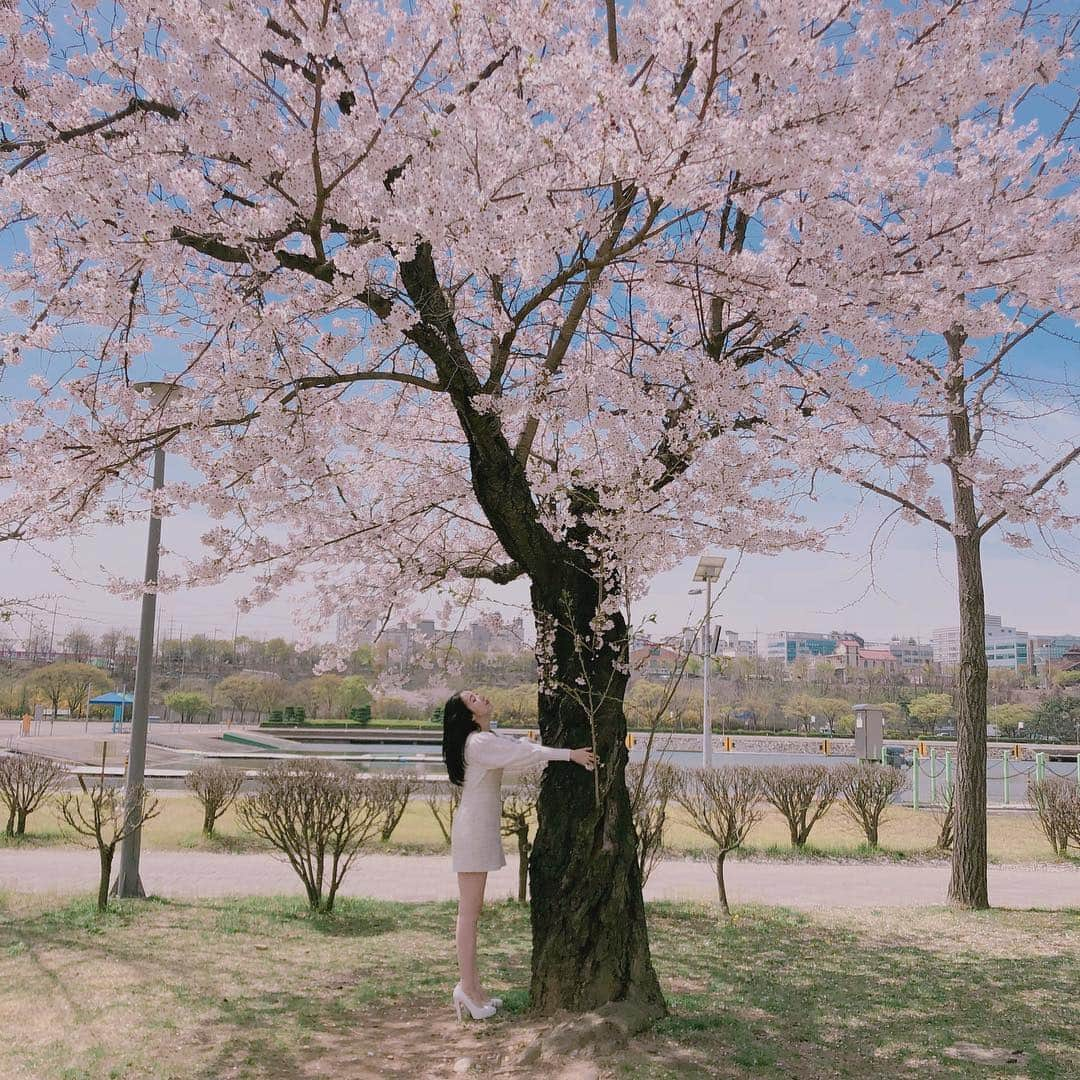 GFriendさんのインスタグラム写真 - (GFriendInstagram)「#띤스타그램 👋🏻」4月18日 21時46分 - gfriendofficial