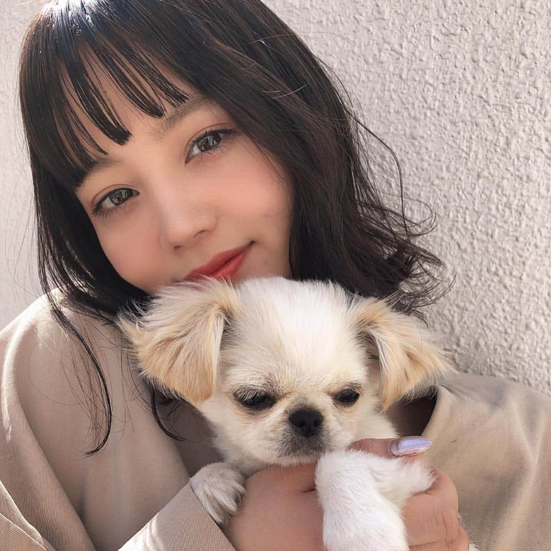 NANAMIさんのインスタグラム写真 - (NANAMIInstagram)「お知らせです ♡  2019.5.18 幕張メッセで開催される Girls Award に出演させていただくことになりました💘 ありがたい🥺🙏🙏💗💗 ほんとーに緊張するけど頑張るので 応援来てください🥺🥺💗 チケットは公式サイトから ♡  #白玉ななみ #girlsaward #ガールズアワード #ゆきみ」4月18日 22時01分 - nanami023