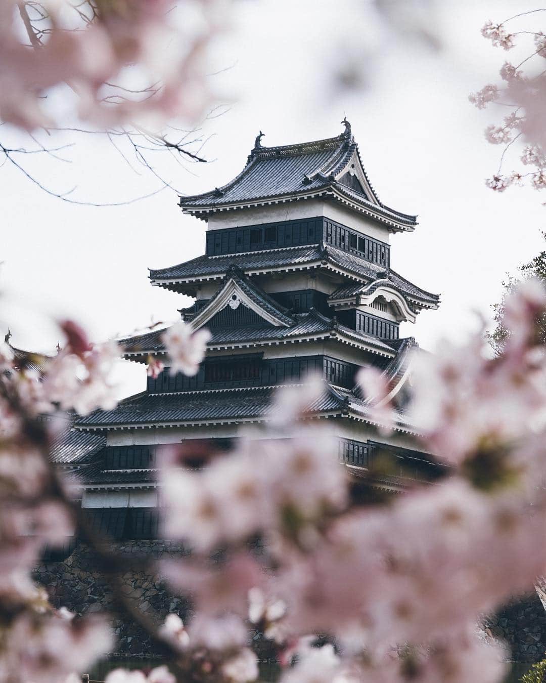 Yuma Yamashitaのインスタグラム：「Matsumoto Castle is one of the most complete and beautiful among Japan's original castles💪  #inspirationcultmag」