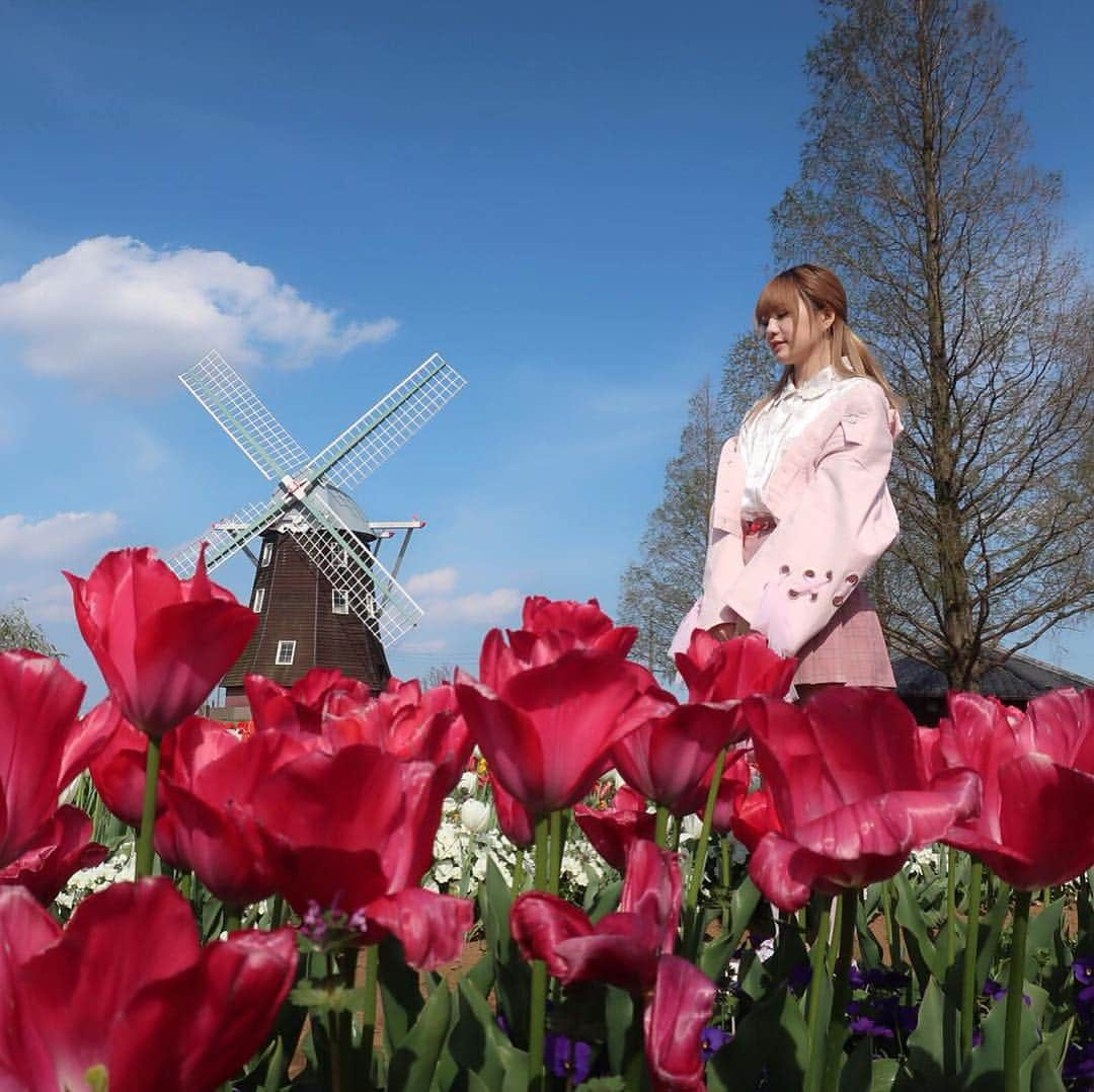 月雲ねるさんのインスタグラム写真 - (月雲ねるInstagram)「🌷🌷🌷 #チューリップ #お花 #flower #cute #ootd  #fashion #데일리룩 #패션 #패션스타그램 #오오티디 #코디 #옷 #옷스타그램 #얼스타그램 #여행 #여행스타그램」4月18日 22時09分 - neruneruworld