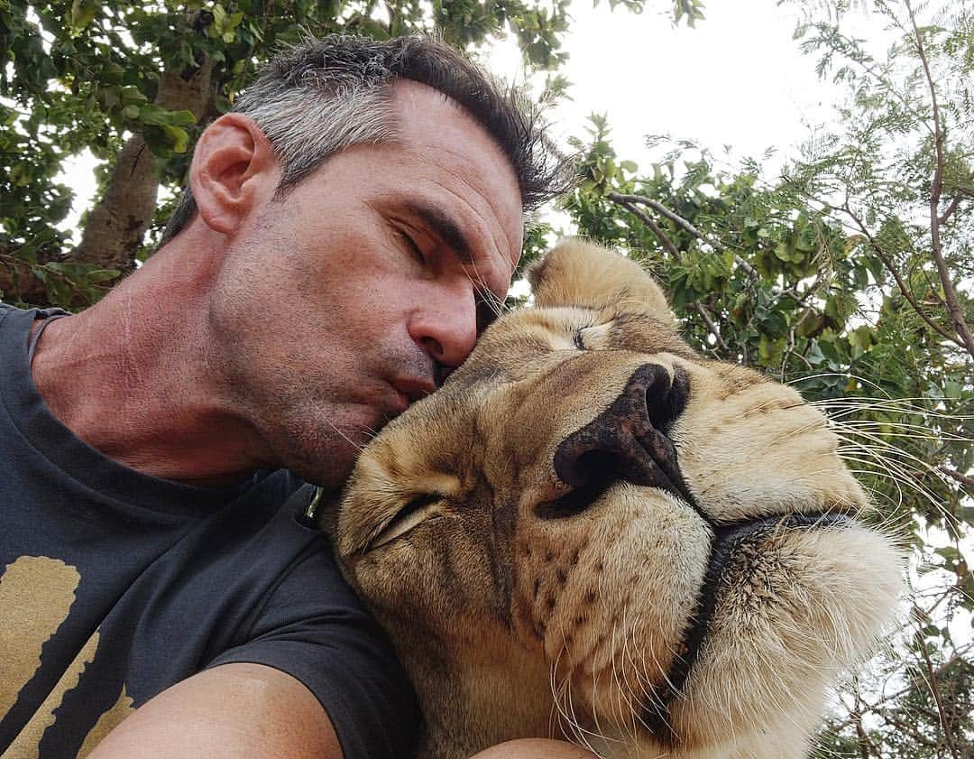 Kevin Richardson LionWhisperer さんのインスタグラム写真 - (Kevin Richardson LionWhisperer Instagram)「-Update on Naiobi- Would you believe Naiobi had her left eye operation just over 2 years ago. She had severe glaucoma and the decision was made to remove the eye to improve her quality of life. Before the op she was irritable, snappy and skittish. These days she’s confident, happy and playful. She’s copes extremely well with her impediment #happylion #glaucoma」4月18日 22時48分 - lionwhisperersa