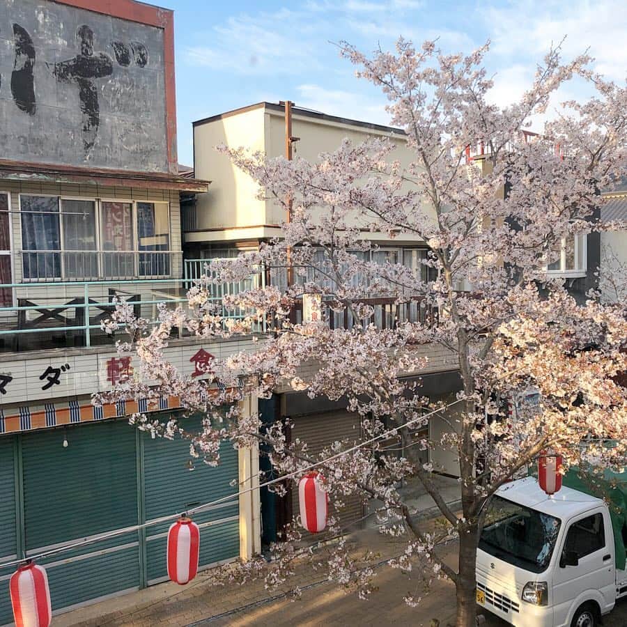 ななぴさんのインスタグラム写真 - (ななぴInstagram)「エモい、、笑﻿ ﻿ こないだ相模湖遊びに行ったよ〜☺️💕﻿ プレジャーフォレストでアスレチック👟﻿ 相模湖で卓球🏓美味しいほうとう🍲﻿ ﻿ 楽しかったな〜😇﻿ ﻿ ﻿ ﻿ #相模湖 #プレジャーフォレスト #卓球」4月18日 22時52分 - __nanapgram__