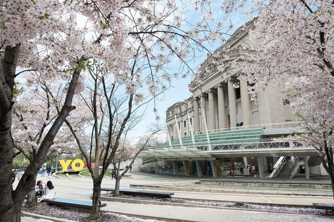 ブルックリン美術館さんのインスタグラム写真 - (ブルックリン美術館Instagram)「Now that we've reached peak spring, it's a perfect time to visit the Museum plaza to enjoy Something to Say: Brooklyn Hi-Art! Machine, Deborah Kass, Kameelah Janan Rasheed, and Hank Willis Thomas—our yearlong public art activation by four Brooklyn artists. Encompassing the plaza green, steps, and promenade outside and the lobby within, Something to Say emphasizes the Museum’s role as a civic space for conversation and shared learning. ⁣⠀ ⁣⠀ Exterior installation view, Something to Say. Brooklyn Museum, October 3, 2018 – June 30, 2019. (visible: #OYYO, #DeborahKass) Courtesy of the artist. © 2018 Deborah Kass / Artists Rights Society (ARS), New York. 📷 @jonathan_dorado⁣⠀ ⁣⠀」4月18日 23時28分 - brooklynmuseum