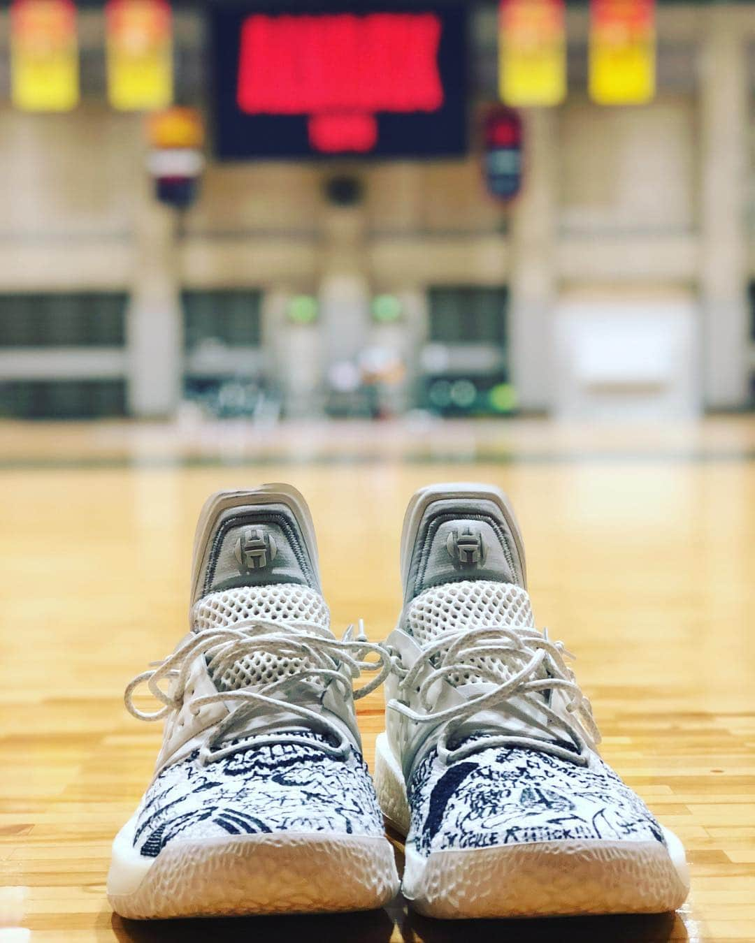 ザック・バランスキーさんのインスタグラム写真 - (ザック・バランスキーInstagram)「Custom designed Harden 2’s🔥🔥 Designed by @nvianism  #adidas #adidasshoes #adidasbasketball #hardenvol2 #customshoes #tokyoisyours」4月18日 23時47分 - zackab10