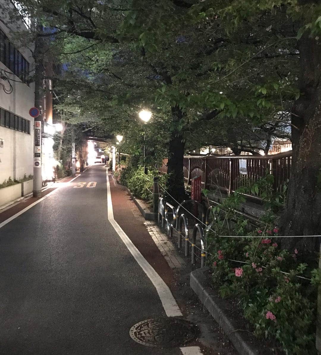 二ノ宮知子さんのインスタグラム写真 - (二ノ宮知子Instagram)「中目の八重桜。 川沿いの桜が散って、人があまりいない中目ですが、散歩するの気持ち良い！今日は中目に住む人と一杯飲みました。楽しかった！」4月19日 0時02分 - tomokoninomiyaa
