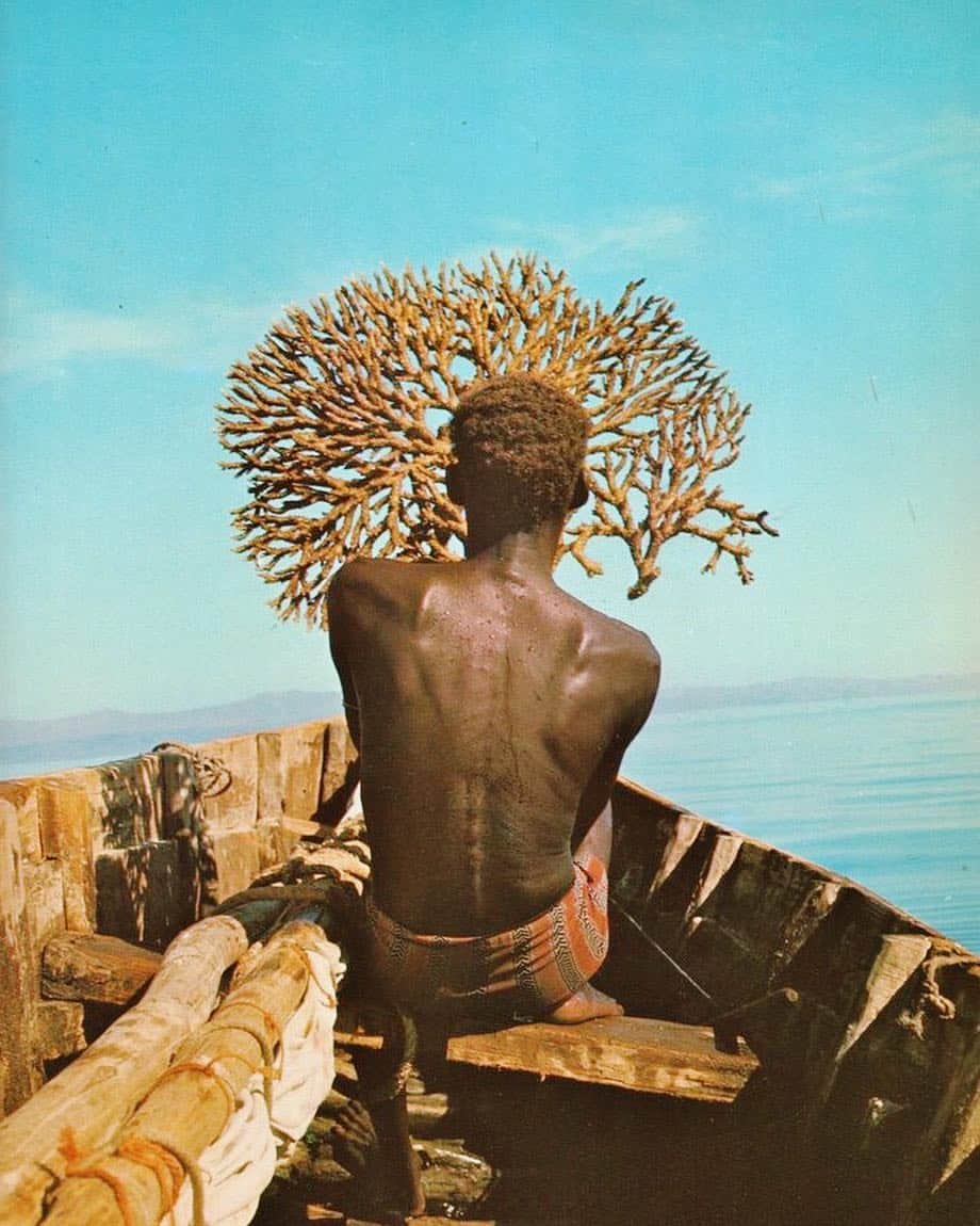 Meganさんのインスタグラム写真 - (MeganInstagram)「Djibouti 〰 Editions Delroisse, Paris, 1977 #djibouti #coral #eastafrica」4月19日 0時25分 - zanzan_domus