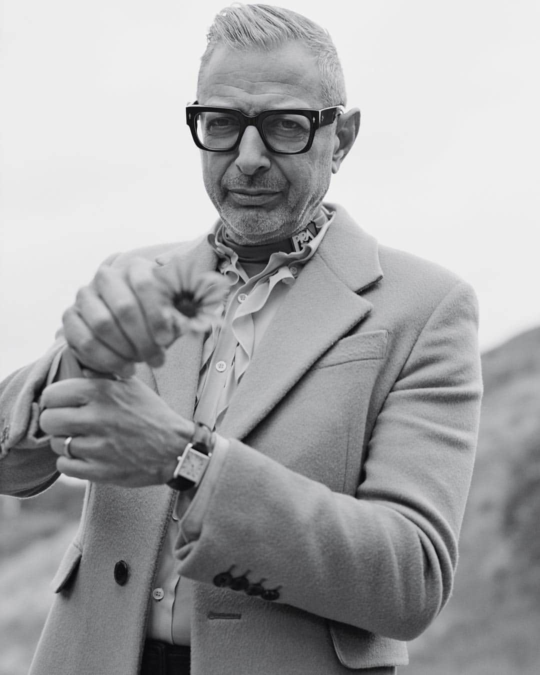 プラダさんのインスタグラム写真 - (プラダInstagram)「@jeffgoldblum wears #PradaSS19 on the spring/summer 2019 #TheMeaningOfCult Issue of #Dazed.  #PradaEditorials  #Prada」4月19日 0時18分 - prada