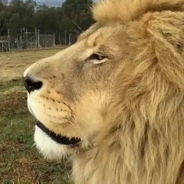 オーランド・ブルームのインスタグラム