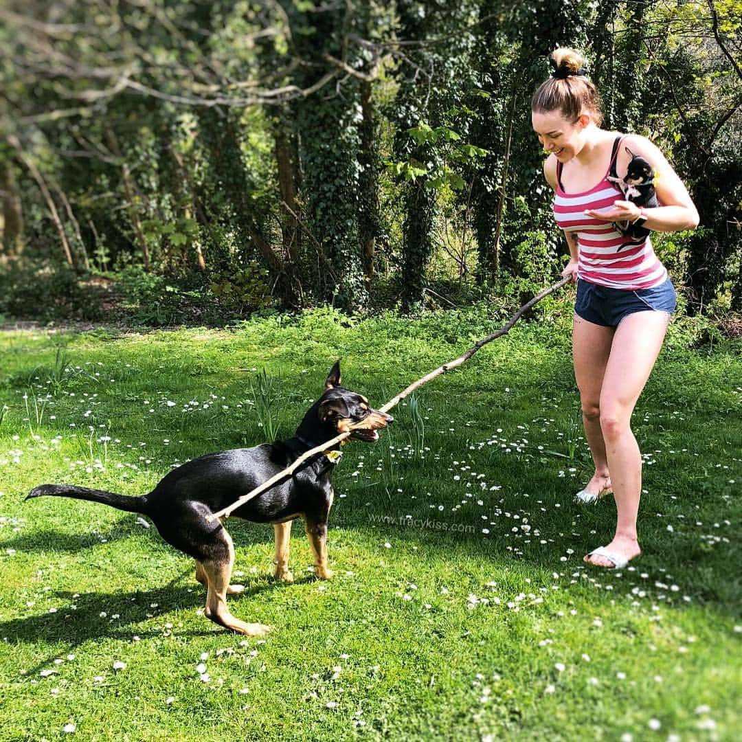 トレーシー・キスさんのインスタグラム写真 - (トレーシー・キスInstagram)「Teaching the boys the importance of sourcing a good stick. How gorgeous is this weather! ☺️🐶☀️ ------------------------ #stick #fetch #lumberjack #walkies #tracykiss #girlswithmuscles #bodygoals #femaleempowerment #muscles #booty #tattoo #healthy #bodytransformation #inspiration #wcw #motivation #ootd #fashion #weightloss #fitness #weightlossjourney #girlpower #thick #ootn #lotd #veganism #girl #gym #bodybuilding #vegan」4月19日 0時46分 - tracykissdotcom