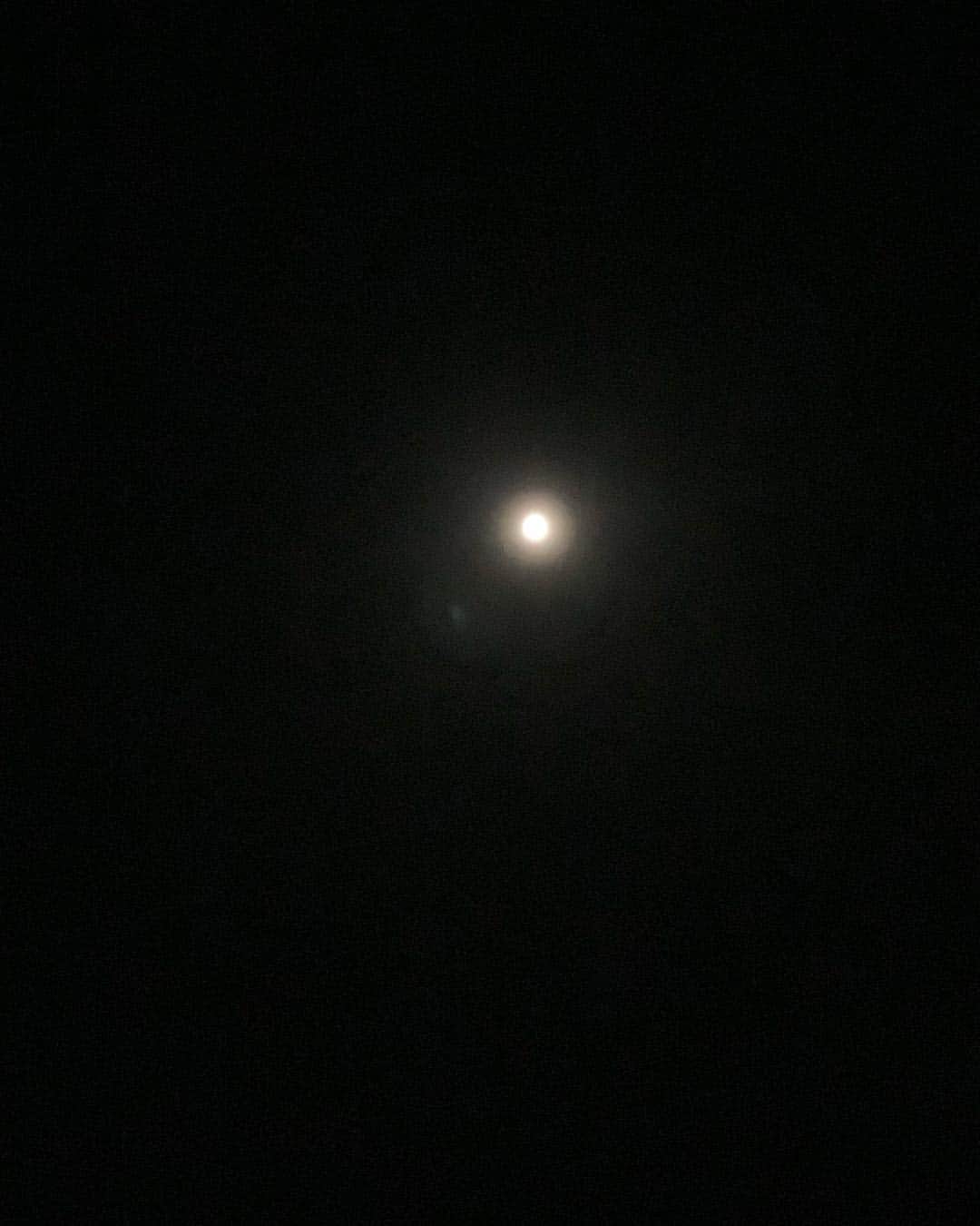 東麻美さんのインスタグラム写真 - (東麻美Instagram)「満月前夜🌕 天秤座の満月。先月の満月も天秤座だったみたいです。 わたくし天秤座🌝 #満月前夜 #天秤座 #fullmoon#love」4月19日 0時57分 - asamihigashi