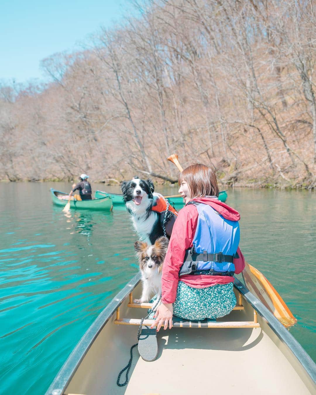 sorayuchiのインスタグラム：「canoe🛶 ・ 十和田湖でカヌーツアーに参加しました✨☺︎ワンコ連れでできるのですごくいい思い出になりました(*´꒳`*)湖はキレイだしカヌーは楽しいし、青森行ったら絶対またやりたい🍎(マメは湖にダイブしたので途中からガイドさんのカヌーに乗船🐶)」
