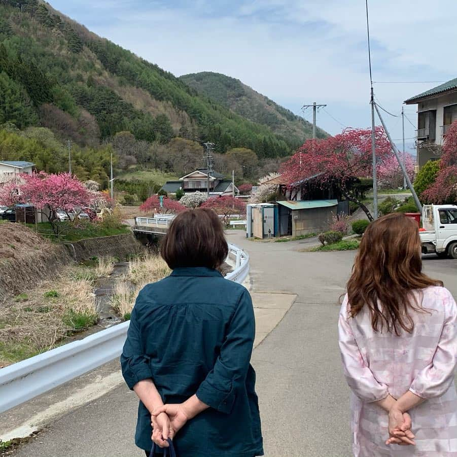 小宮山瑞季さんのインスタグラム写真 - (小宮山瑞季Instagram)「今日は、母と祖母とハナモモを見に行ってきました！ もう落花してしまっているところもありましたが、まだまだ見応え十分でした！！ 温泉にも浸かって、気分爽快！ ・ #ハナモモ #花桃 #余里 #上田市 #花 #flower #母 #mother #祖母 #grandmother #おでかけ #親子 #同じポーズ #さすが #家族 #family #家族サービス #散歩 #休日 #ゴールデンウィーク #長野放送 #アナウンサー #小宮山瑞季」5月3日 19時32分 - komiyama_mizuki