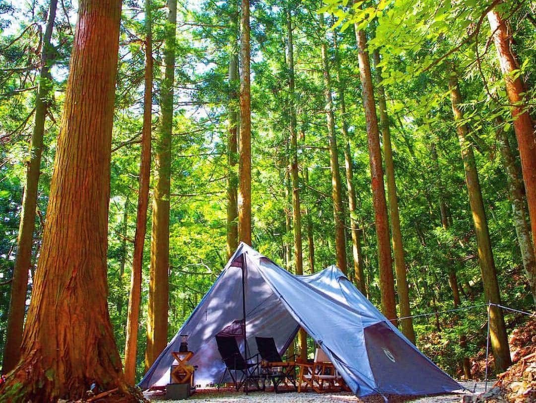 CAMP_HACKさんのインスタグラム写真 - (CAMP_HACKInstagram)「連休後半は晴天に恵まれそうな日本列島。お休みが取れている方は、新緑のキャンプを楽しんでいますか？　こちらのシェルターは、ニーモの「ヘキサライト6P」。出入口を巻き上げれば気持ち良い風が吹き抜け、暑くなるこれからの季節にもピッタリです！ . . from CAMP HACK . CAMP HACKであなたのキャンプライフを取材します！ 『#camphack取材』を付けて投稿！ . Photo by @outdoor_life23 さん . #camp #camping #camphack #outdoorlife #outdoor #trip #travel #japan #followme #weekend #travelling #outdoorgirl #family #familytrip #キャンプ #アウトドア #キャンプ道具 #キャンプ初心者 #家族 #外遊び #自然 #キャンプ場 #お出かけ #ヘキサライト6p」5月3日 20時38分 - camp_hack