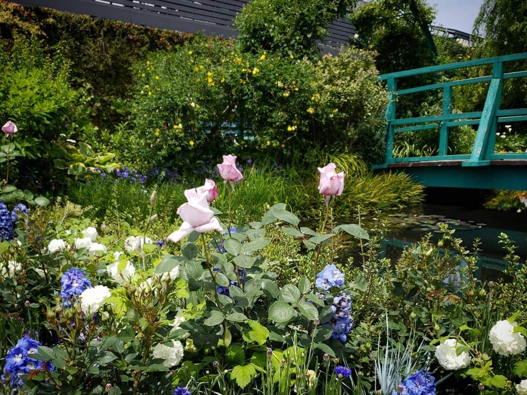 池袋コミュニティ・カレッジさんのインスタグラム写真 - (池袋コミュニティ・カレッジInstagram)「🌹🌹🌹私は今、フランス、モネの庭に来ています～✌️ なんちゃって～😁 池袋で仕事してまーす💨 日本でーす。 東京でーす。 豊島区でーす。  ここはいつもキレイにお手入れされている屋上庭園、西武池袋本店の『食と緑の屋上庭園』です。  14日から始まる #バラぐらし 展ではこちらもバラ🌹がたくさん飾られますよ💓  ぜひインスタ用にお写真📸撮りにきてくださいね🎵 もちろん、GW中も😉  #池袋コミュニティカレッジ #池袋コミカレ #池袋 #西武池袋本店 #池袋駅 #カルチャースクール #習い事 #習い事東京 #ワークショップ #イベント #自分磨き #屋上庭園 #ルーフガーデン #モネの庭 #庭のある暮らし #バラのある暮らし #バラが好き #バラ🌹 #バラ #フォトスポット」5月3日 11時56分 - cc_ikebukuro_official