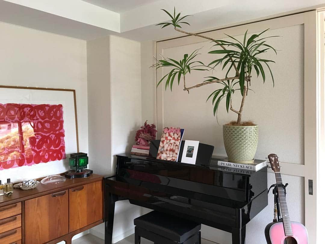 Yoshiko Kris-Webb クリス-ウェブ佳子さんのインスタグラム写真 - (Yoshiko Kris-Webb クリス-ウェブ佳子Instagram)「On the piano🎹  多分ね普通は蘭とか置くんだろうけど、ピアノの上にもどん。#ykwhome」5月3日 12時11分 - tokyodame