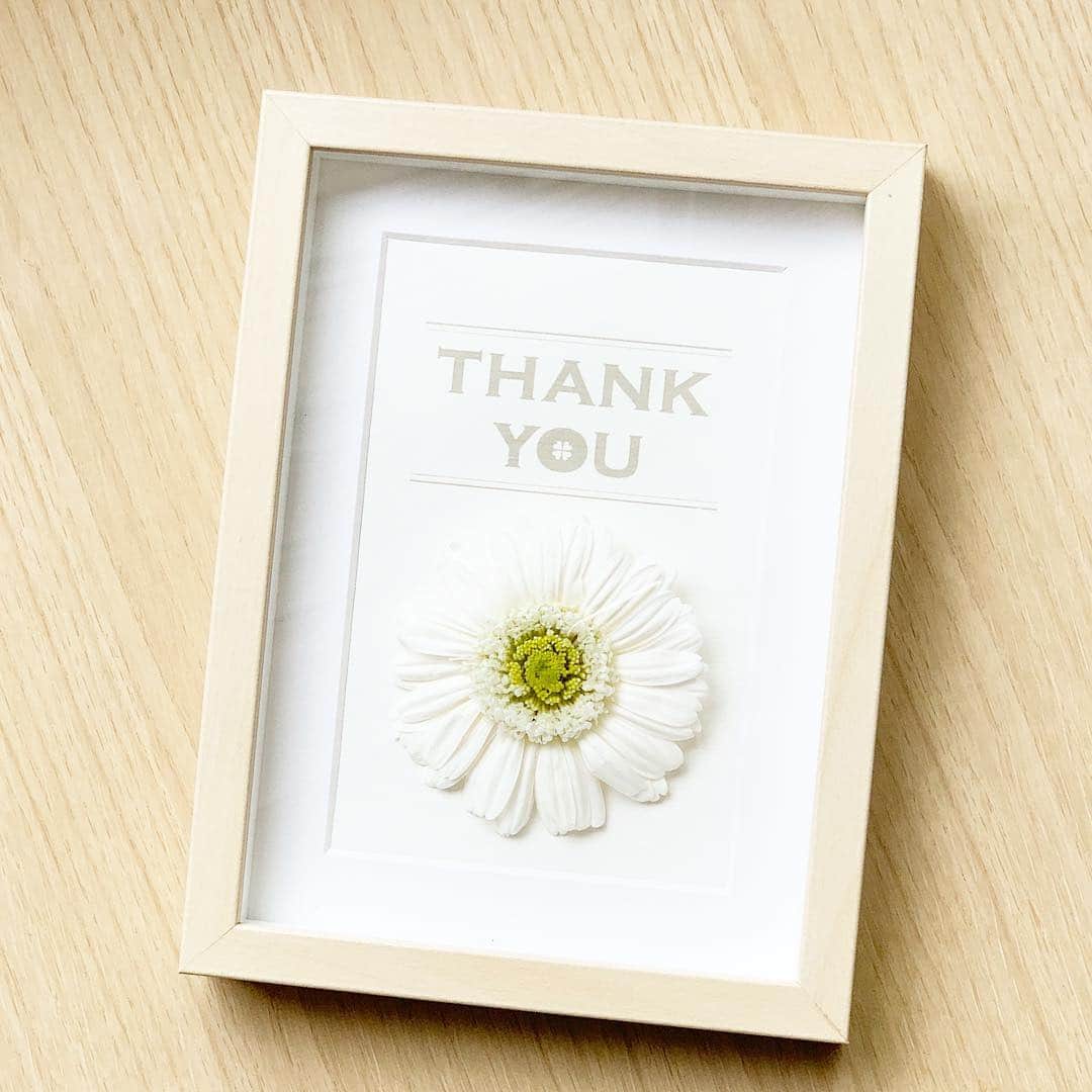 川田御早希さんのインスタグラム写真 - (川田御早希Instagram)「母の日も近いのでthank youカードとプリザーブドフラワーで作ったのですが 自分が気に入っちゃいました（汗）  #もうすぐ母の日  #thankyouカード #引き寄せ #上機嫌 #いい気分 #今幸せでいよう #今を楽しむ #感謝」5月3日 12時09分 - misaki_kawada