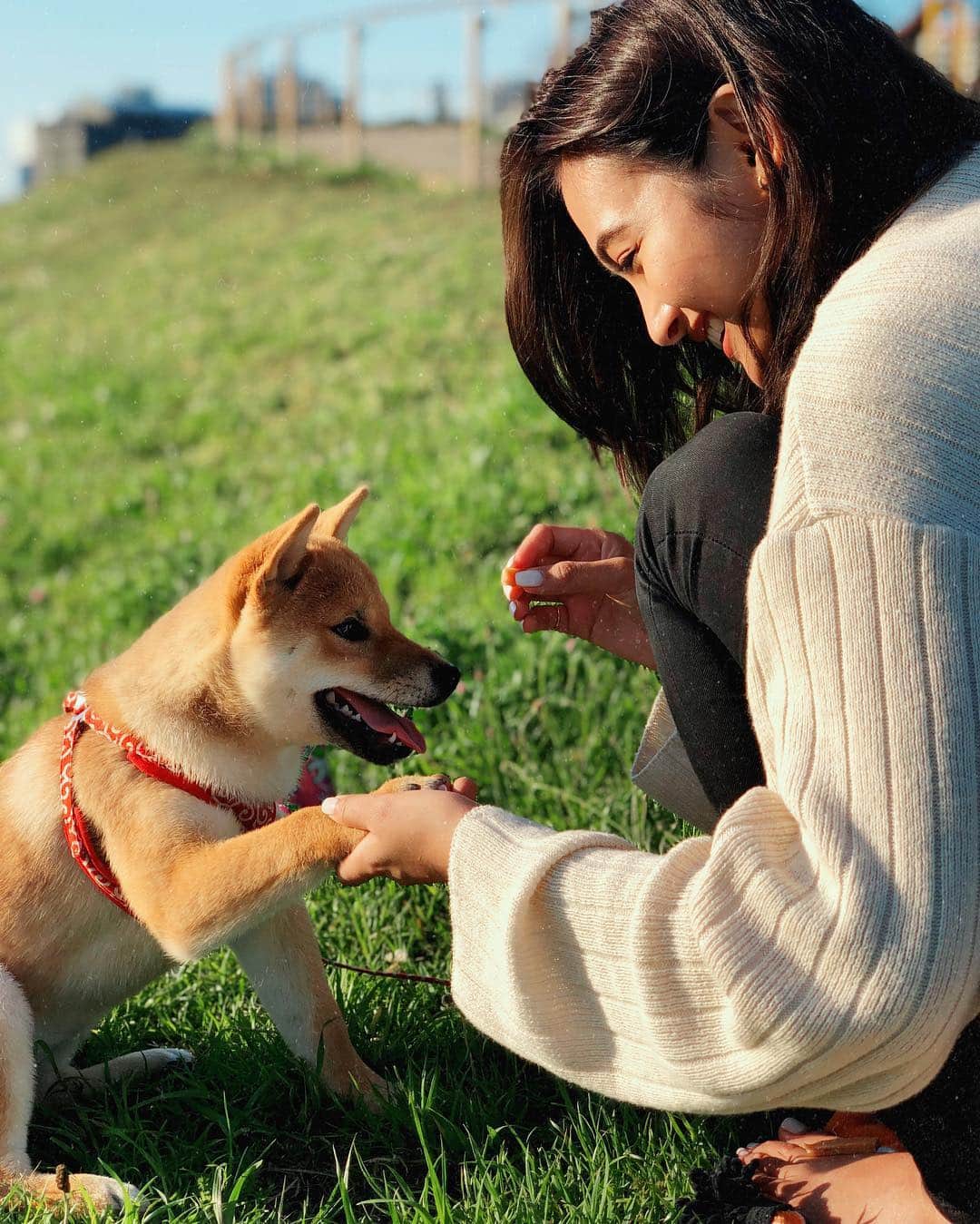 香川沙耶さんのインスタグラム写真 - (香川沙耶Instagram)「Dogs are man's best friend🐶」5月3日 12時34分 - saya.kagawa