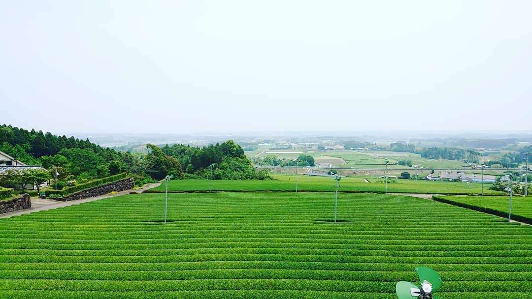 寺坂直毅のグルメインスタ