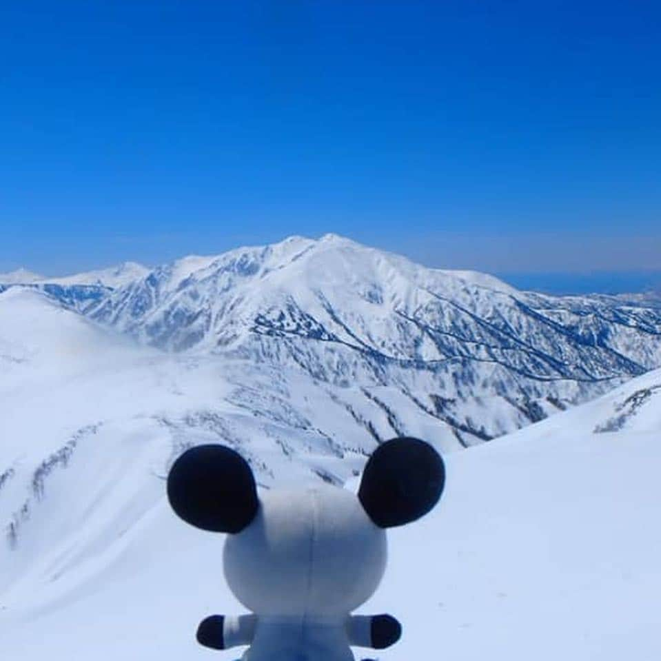 テレ朝newsさんのインスタグラム写真 - (テレ朝newsInstagram)「遠くに見えるのが“ゴーちゃん。登山隊”が目指す薬師岳です。 急斜面もあるので慎重に登攀していきます。  #冒険ゴーちゃん。#テレビ朝日 #テレ朝 #news #六本木 #東京 #japan #テレビ #テレビが好きな人と繋がりたい #写真 #写真好きな人と繋がりたい #photography #nofilter #ゴーちゃん #ごーちゃん #panda #おでかけ #fun #climbing #ぬいどり #富山 #室堂 #北アルプス #縦走 #薬師岳 #snow #mountain」5月3日 12時46分 - tv_asahi_news