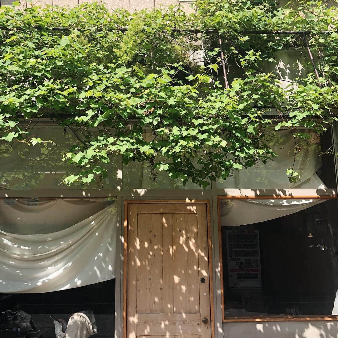 maichan1205のグルメインスタ