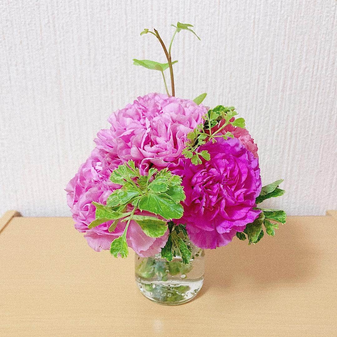 鈴木芳奈のインスタグラム：「ライブで頂いたお花💐  #flower #ライブ #お花 #お花大好きでお部屋に飾ってます #ありがとう」