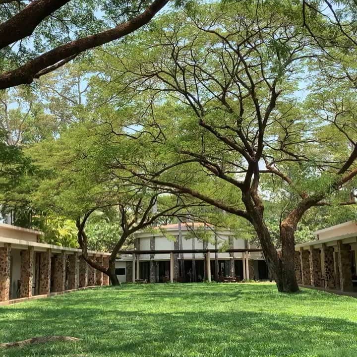 のインスタグラム：「. AMANSARA CAMBOSIA  かつて王族の迎賓館だった低いシャレー風の建物。 ローラン モンデによってデザインされた典型的な1960年代の様式を備える庭園、ヴィンテージのメルセデスリムジンによる送迎、学者による遺跡ツアー、60年代のジープ、クメール料理など、全てが洗練されていて、上質でした。 部屋の内装も漆黒と白のバランスが絶妙。 洗練されたテイストと、隅々まで行き届いたサービスは流石の一言。 オリジナルのアマンクオリティの素晴らしさをしみじみ感じました。日本のアマンは出来たばかりだし、都市型だから、全く違うけどクオリティが追いつくとよいな、、」