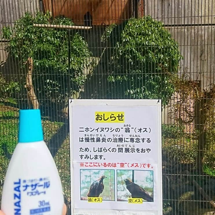 新山大のインスタグラム