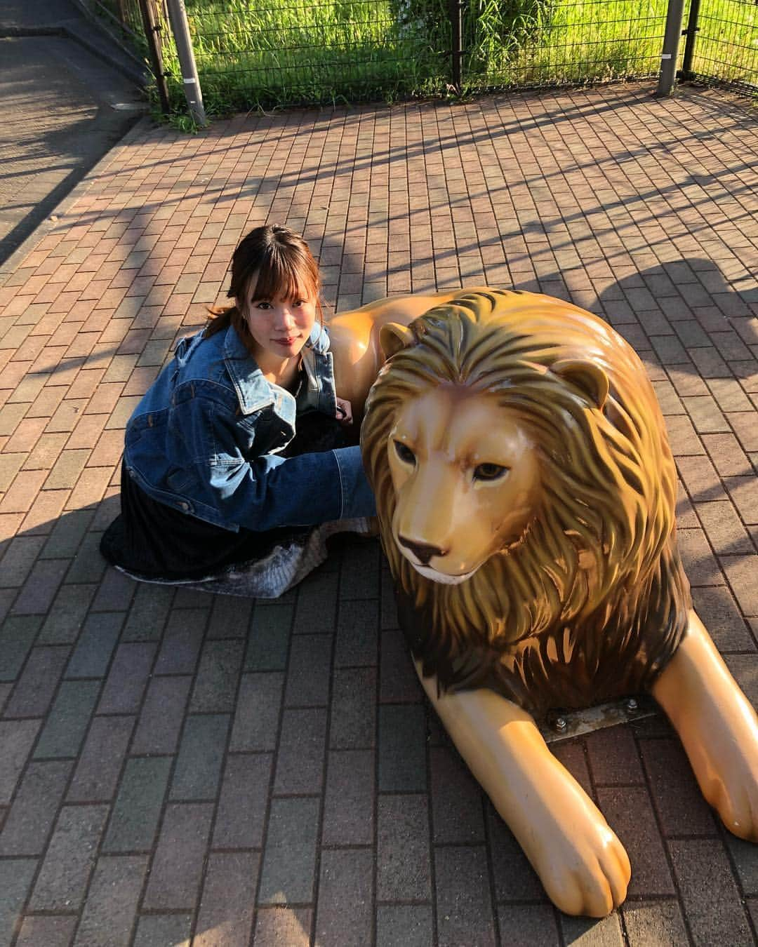 古田ちさこさんのインスタグラム写真 - (古田ちさこInstagram)「・ 昨日はノリで多摩動物公園に行ってきました🐘 ニホンジカの檻の横に鹿の角のブースがあり、エゾジカになってみたのですが某企画の影響で違和感がなかったよ…🦌笑 一番見たかったユキヒョウ、やっぱり可愛いかった❣️🐆❄️ しっぽが太くて毛がもふもふ😻 ・ 昨年ズムスタで赤いユキヒョウのしっぽ配布デーにあたり、それまではユキヒョウを知らなかったのですがその後に調べたら可愛くて一目見たいとずっと思っていたんです😻 嬉しい。 ・ ライオンは時間の関係で見られなかったので造型物と写真を撮りました。笑 🦁 #多摩動物公園#tamazoo#ツノガール#ユキヒョウ#アムールトラ#ワラビーの授乳#アジアゾウ#サイの皮膚どうなってるの…」5月3日 14時27分 - chisakofuruta