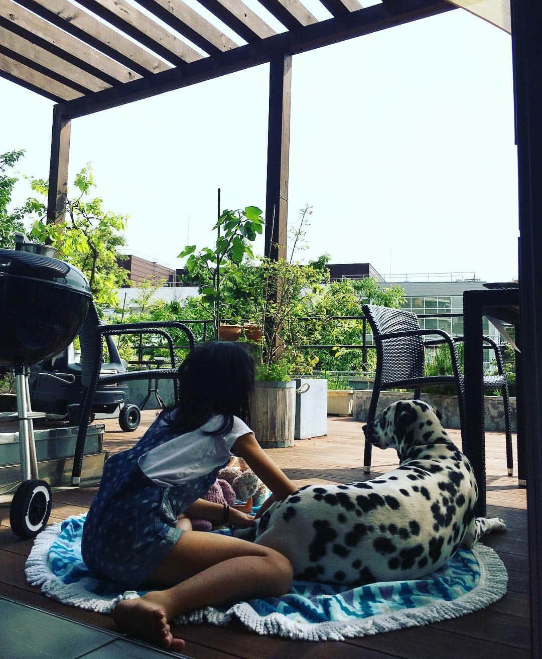 高岡早紀 さんのインスタグラム写真 - (高岡早紀 Instagram)「家族で過ごす、のんびりと穏やかなゴールデンウィーク。。 #dalmatian #癒される」5月3日 14時29分 - saki_takaoka