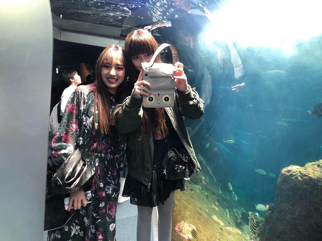 飯窪春菜のインスタグラム：「先日、大好きな南波志帆さんと新江ノ島水族館に行ってきました🐠  たくさん写真あるので載せていきますね🐡💛 #デート  #新江ノ島水族館  #南波志帆 さん #はるなの毎日  #飯窪ってる」