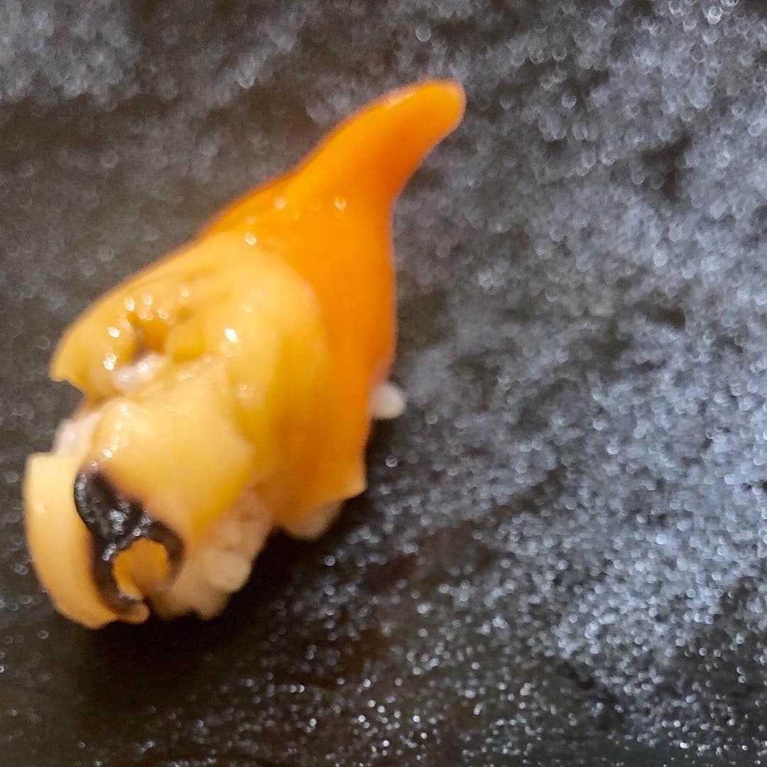 山田優依さんのインスタグラム写真 - (山田優依Instagram)「Sushi Kosuke . 予約困難になりつつあり、お鮨ずきの友人が 紹介してくださった横浜にある 広典 . つまみ、握りはもちろんのこと 素敵な器に魅了されました😌 . #Japan #Kanagawa #Washoku #Sushi #Japanesefood #foodtraveller」5月3日 15時02分 - yui_gourmetwalker
