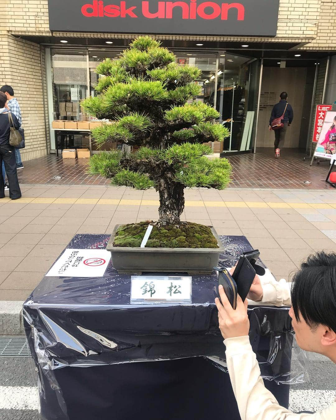 吉本拓さんのインスタグラム写真 - (吉本拓Instagram)「大宮春の盆栽祭りやってた！ 盆栽っていいなぁ。 山添って山添だなぁ。  #大宮春の盆栽祭り #盆栽 #山添 #ダイタク」5月3日 15時21分 - daitakutaku