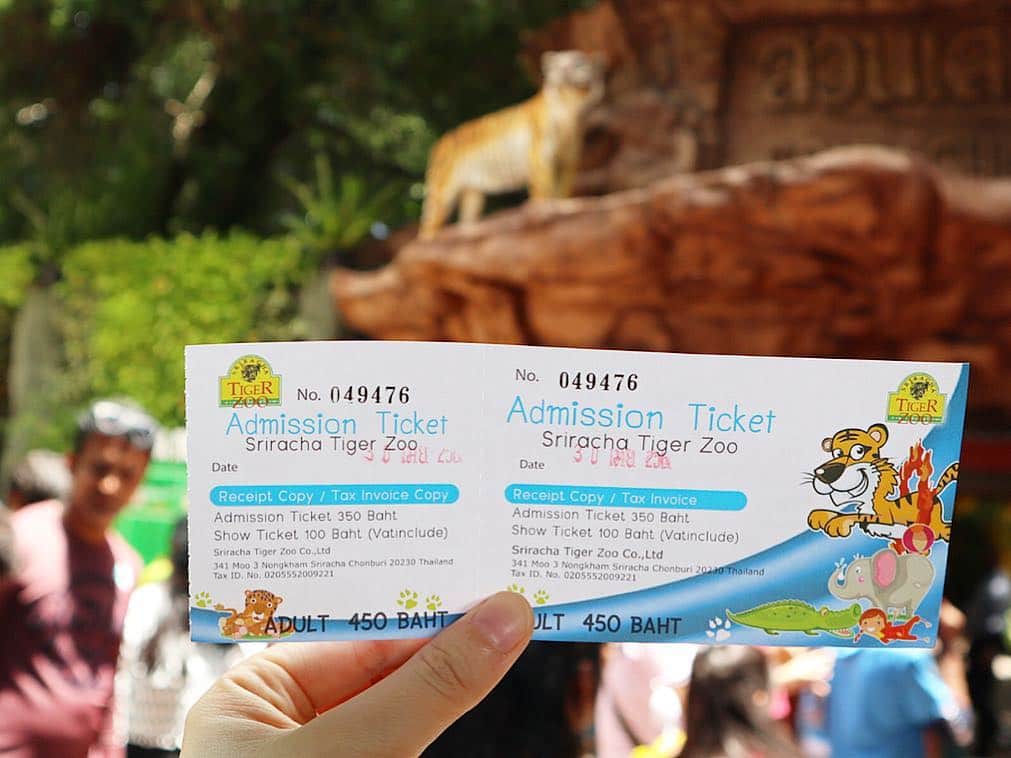 瀬戸早妃さんのインスタグラム写真 - (瀬戸早妃Instagram)「🐯🌴🐘🌴🐊﻿ ﻿ 本物の虎🐅と写真撮ってきたよー‼️﻿ ﻿ 📍シーラチャータイガーズー🐯﻿ 🎪Siracha tiger zoo ﻿ 341 Moo 3, Nongkham, Sriracha, Chonburi 20110 .  グルルルルってうなっててちょっと怖かったけど﻿ 飼育員さんの指導の元、﻿ 頭にタッチしたりOK🙆‍♀️で﻿ イケメンでおっきな虎に心奪われっぱなし🐯💕 ﻿ なんともいえない非日常体験に大興奮でした😊✨﻿ （1人で撮ってもグループ撮影でも どちらも200baht＝700円くらい◎）﻿ . タイガーズーという名前だけあり、虎はもちろん、象やワニもいっっぱい💕﻿ 象に乗ったりできるし🐘、ワニのショー🐊もみたよ✨ .  お利口さんに飼育されていて、休憩所やフォトスポットも沢山あって、今まで行った動物園の中で一番楽しかったです❤️﻿ ﻿ ☑︎dress @montresorsaki .new👗 ﻿ #sirachatigerzoo #shiracha #tigerzoo #シーラチャー #シーラチャータイガーズー #タイ #🇹🇭 #thailand #thai #zoo #動物園 #動物 #animals #animal #虎 #象 #ワニ #虎と写真 #大興奮 #exciting #タイ旅行 #旅行 #travel #travelabroad #モントレゾール #montresor#montresorsaki  #リゾートコーデ #双子コーデ #おそろコーデ」5月3日 15時27分 - plievesaki
