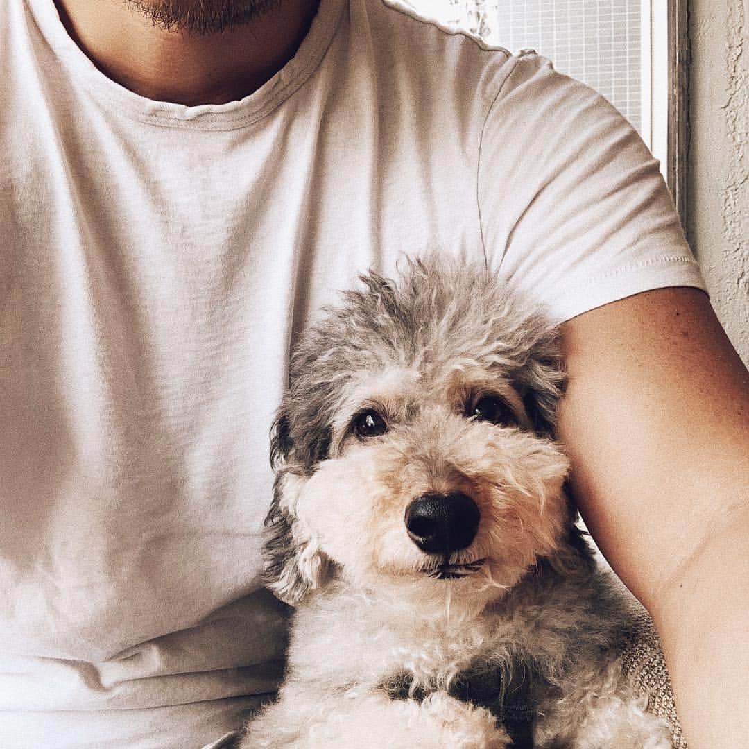 三浦大地のグルメインスタ