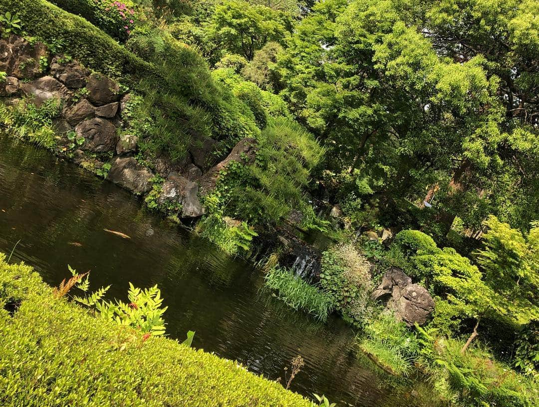 山崎ケイさんのインスタグラム写真 - (山崎ケイInstagram)「運動不足解消散歩🚶‍♀️ #大宮よしもとラクーン劇場 #出番合間 #気候最高 #大宮公園 #動物園無料 #何かを取ろうとしてる猿をずっと見てた #何を取ろうとしてたか最後までわからず #GWの公園は幸せそうなファミリーばかり #動物園で財布と携帯だけ持ったOLランチスタイルは私だけ #昨日8841歩歩いて消費カロリー55kcal #今日8453歩歩いて消費カロリー337kcal #なんで？」5月3日 15時56分 - kei_yamazaki_aisekistart