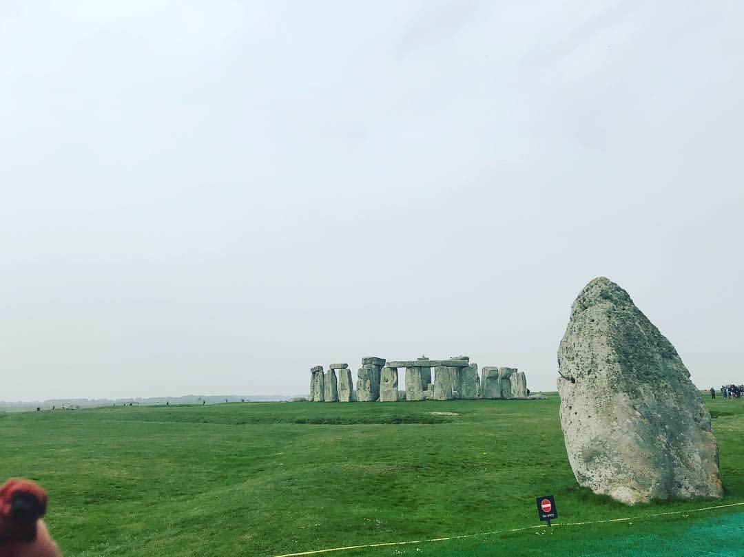 ころさんのインスタグラム写真 - (ころInstagram)「ころツアーズ in ストーンヘンジ  神秘的なもの一切感じれなかったじょーーー！涙 .  ころの他の写真を見たい方はこちらから！ @koro.dottokoi .  #犬#ころ#ストーンヘンジ #イギリス #世界遺産  #dog #koro #stonehenge #england #worldheritage eritage」5月3日 16時34分 - koro.dottokoi