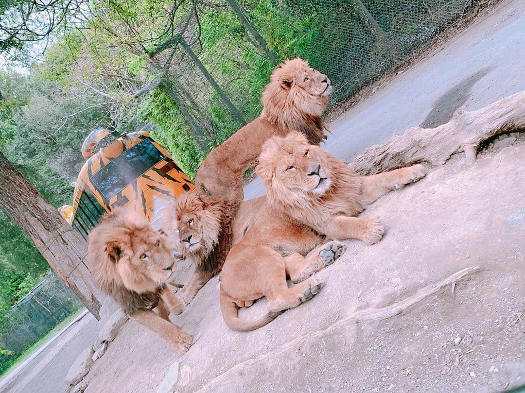 夏江紘実のインスタグラム