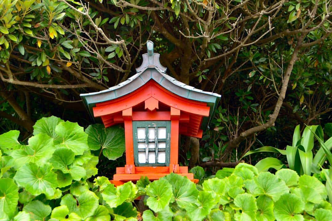 太田エイミーさんのインスタグラム写真 - (太田エイミーInstagram)「Udo Shrine #miyazaki you are truly beautiful . . . . . . . . . #jtrip ##jtripplan #miyazaki #kyushu #japan #kyushujapan #traveljapan #udoshrine #miyazakiprefecture #japaneseshrine #travel #traveljournal #travelblogger #鵜戸神社 #宮崎 #九州 #旅行 #トラベルブロガー #旅行日記 #旅日記 #goldenweek #ゴールデンウィーク」5月3日 17時08分 - amyota
