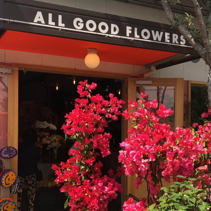 榊山敬代のインスタグラム：「🌳🌿🌺… ・ 前から気になっておりました 緑なスポットへ立ち寄る午後  ランチをチャージしたかったのですが やはりと長蛇の列にてあきらめるの巻  東京とはおもえない 不思議なスポットに しばらく光合成して  太陽のエネルギーチャージ完了 ・ 🔌🌞… ・  ところで 写真を見返してみましたら  ピンク色のおはなやさん ピンク色のサボテンの花 ピンク色のポニーテール  ピンクにピント中 今日のフォーカス ・ 📸👀… ・ ・ ・ ・ ・ 🌸" 作品展示情報… ・ 『第7回 郷さくら美術館 桜花賞展』 ・ 会場：郷さくら美術館 ・ 「郷さくら美術館　桜花賞」展は、「桜」を描いた現代日本画を多くの方々にご覧頂き、日本画の素晴らしさを再発見してもらうことを目的とした展覧会です。今回もこれからの活躍がますます期待される日本画家31名が、日本美術でおなじみの「桜」という大変難しいモチーフを相手に、それぞれの持ち昧を生かした個性的な素晴らしい桜の絵画に仕上げています。現代日本画家たちの個性を、豊かな桜花の美しさを、どうぞお楽しみください。  東京都目黒区上目黒1-7-13　 TEL：03-3496-1771  東急東横線、東京メトロ日比谷線 中目黒駅より徒歩５分 ◼︎詳しくはホームページをご覧ください  #令和 はじめての  #散歩 #南青山 #pink #春 #spring #flower #green #さぼてん #imagination #fantasy #natural #plants #green #Garden #Tokyo #東京  #アート #art  #お花見 #お花見スポット #refresh #日本画家 の #外出こんなもん #気分転換 #ゴールデンウィーク」