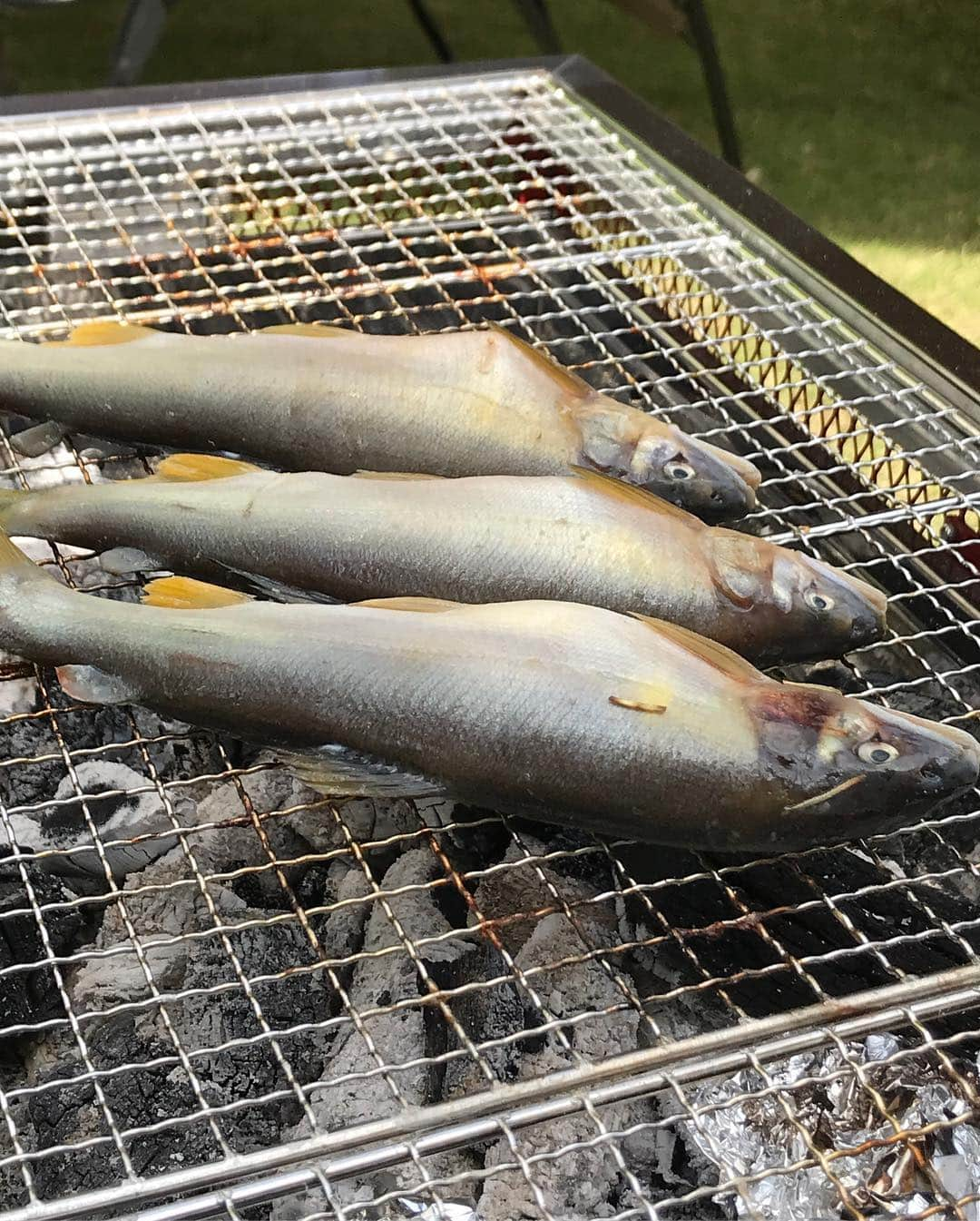 駒田奈美さんのインスタグラム写真 - (駒田奈美Instagram)「・ ・ ・ 今日はお庭でBBQ！！ ・ ・ お天気も良いし最高に気持ちいい(๑˃̵ᴗ˂̵) ・ ・ タープも張って… なんか… キャンプ気分〜(*´꒳`*) ・ 家族団欒 ・ ・ ・ #駒田奈美#オスカープロモーション#モデル#アラフォー#bbq #お庭#ワイン#シャンパーニュ#perrierjouet #いちご#肉#魚介#キャンプ#お天気#タープ」5月3日 17時27分 - nami.komada