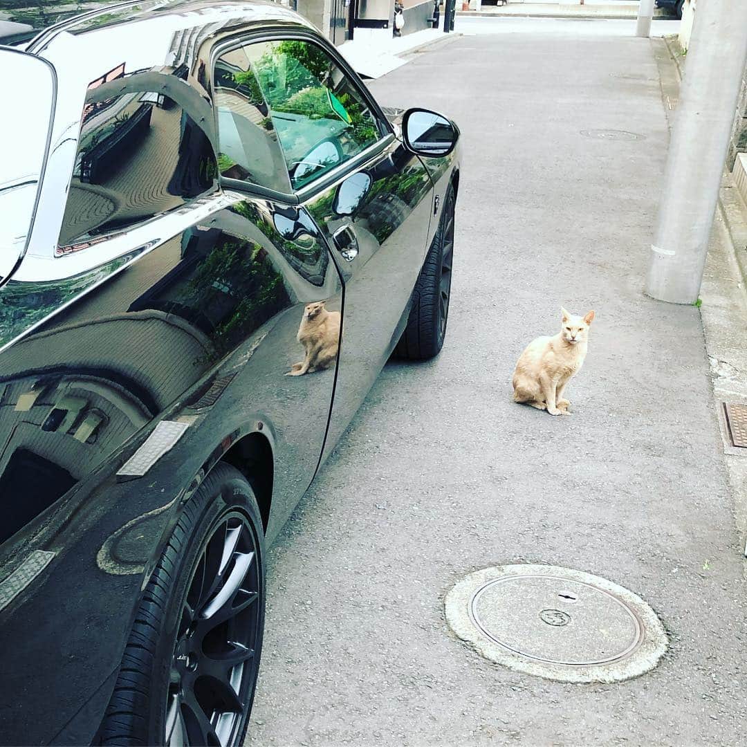 マフィア梶田のインスタグラム