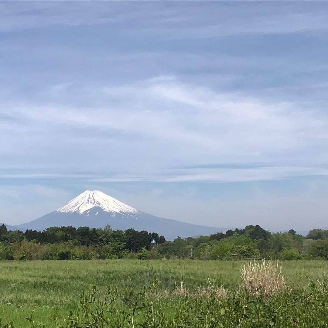 野牛あかねさんのインスタグラム写真 - (野牛あかねInstagram)「祖母の家からの富士山🗻 適度な距離の田舎、長閑で癒される！  #富士山 #静岡側」5月3日 17時46分 - yagyuakane