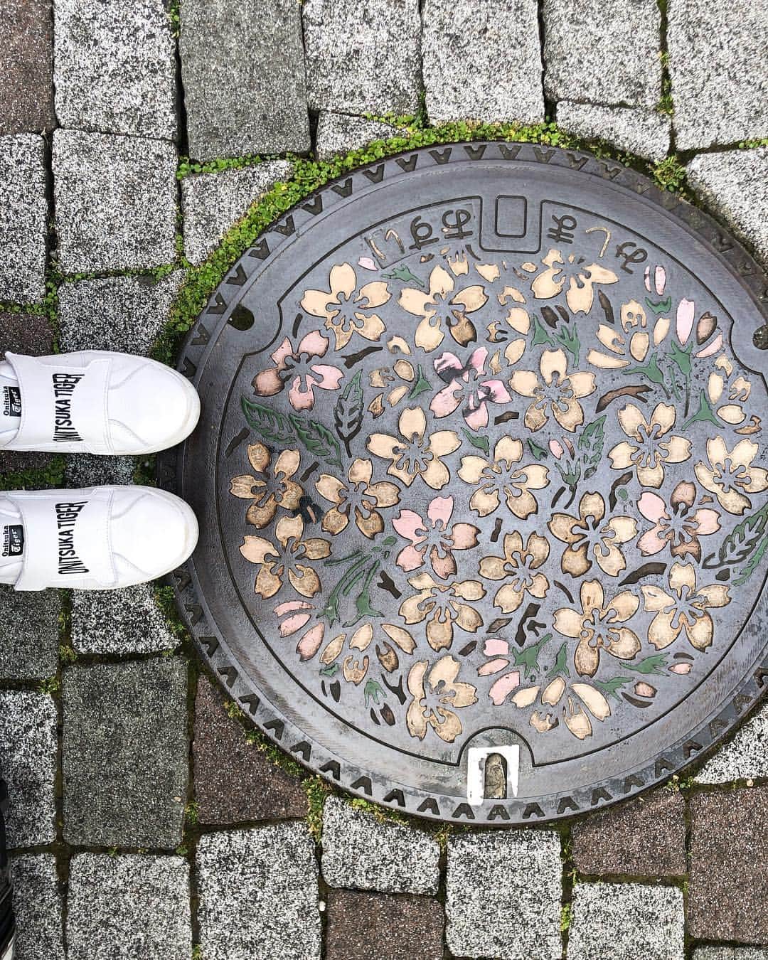 高橋愛のグルメインスタ