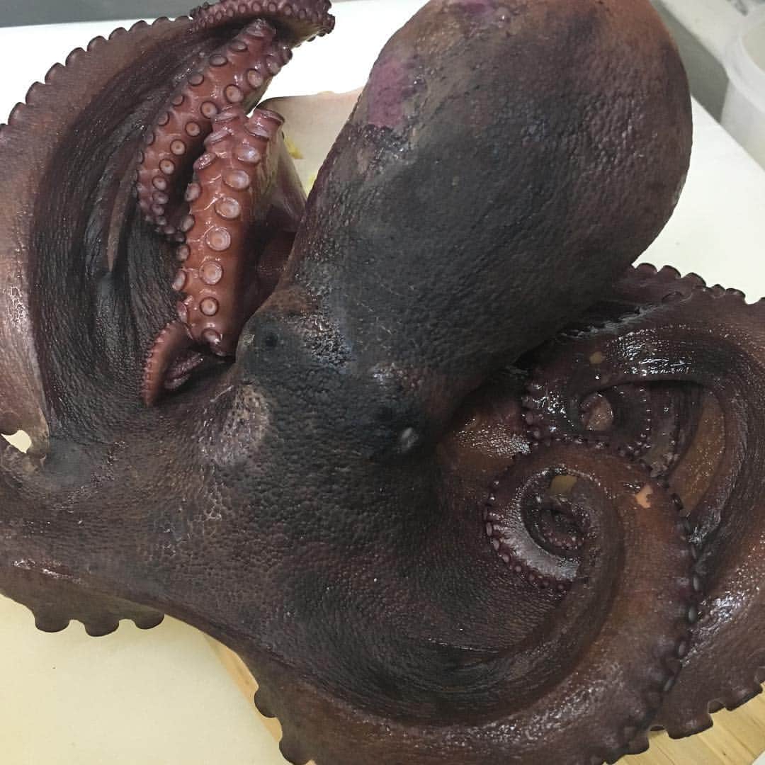 知床漁場 天神橋筋店さんのインスタグラム写真 - (知床漁場 天神橋筋店Instagram)「こんばんは🌆 北海道知床漁場天神橋店です。 本日の一押しのオススメは。 茹でダコ。🐙🐙🐙🐙🐙🐙🐙 になります。新鮮な🐙を お湯にくぐらせ茹で上げました！ タコのぶつ切りにて🐙 提供させていただきます。 #北海道料理#北海道日本酒#北海道知床漁場天神橋店です#980円飲み放題# 海鮮居酒屋#泳ぎイカ#生牡蠣# I天神橋筋5丁目#天神橋グルメ#ハンパじゃない歓迎会#ハンパじゃない送迎会#うまか北浜店」5月3日 18時17分 - shiretoko_tenjinbashi